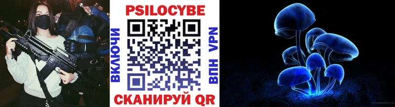 наркотики  Моршанск  Псилоцибиновые грибы Psilocybine cubensis 
